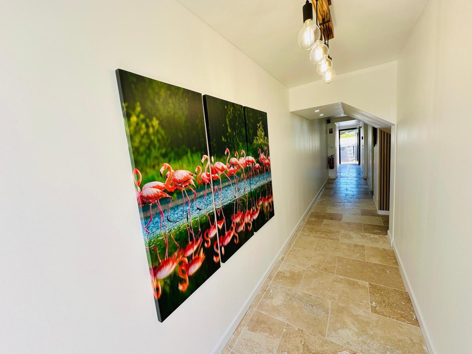 Les Appartements Du Mas - Rose Marie Aigues-Mortes Exterior foto